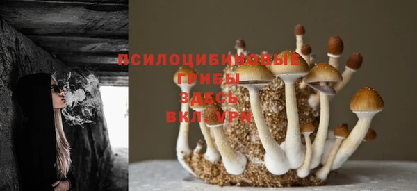 крисы Балабаново